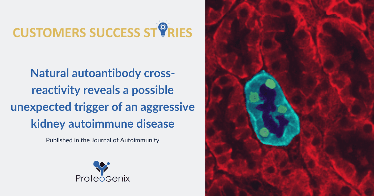 A Cross Reactive Antibody Unravels The Unexpected Trigger Of An Aggressive Autoimmune Disease Proteogenix