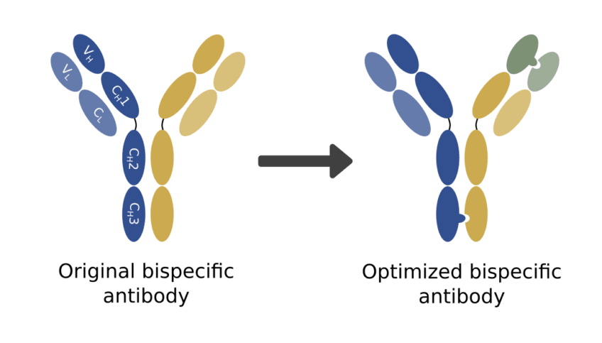 How the phage display technology is boosting the production of valuable ...