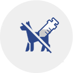 Animal-free canine antibody discovery