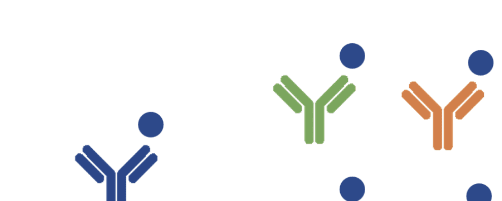 The benefits of pairing monoclonal and polyclonal antibodies