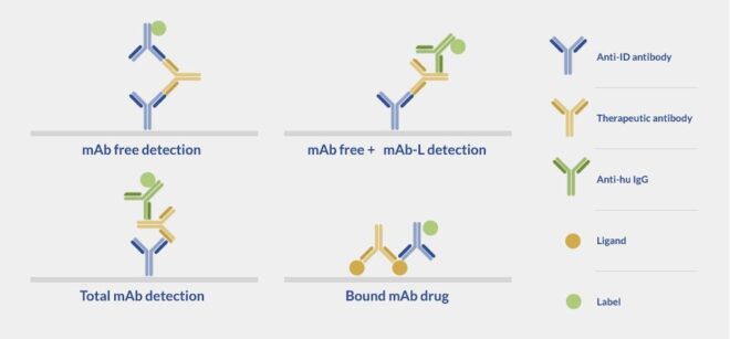 Anti-drug antibodies - ProteoGenix