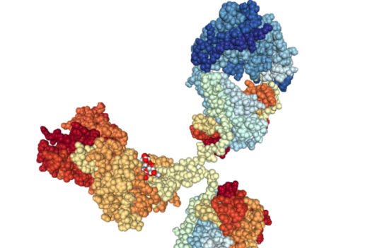 How nature inspires the development of better antibody design techniques