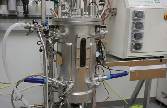 Antibody production bioreactor