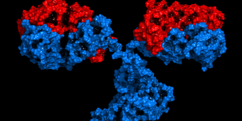 Next-Generation Antibody Discovery Enabled By NativeMP™ and Phage Display Technology